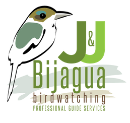 J & J Bijagua Birdwatching Professional  Guide Service l The Pura Vida Tour Guides